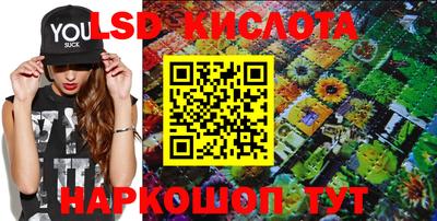 прущие крисы Бийск