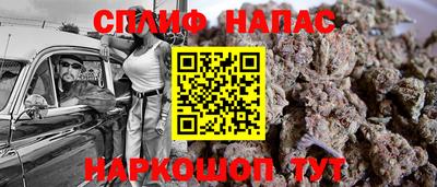 молекула духа Берёзовский