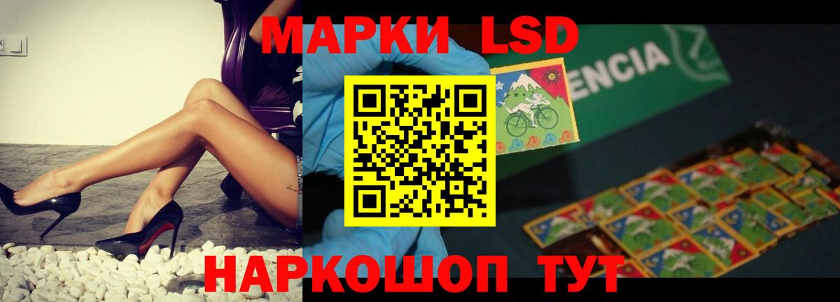 ЛСД экстази ecstasy  Лсд 25 экстази кислота  Вход с VPN  KRAKEN как войти  Камышлов 