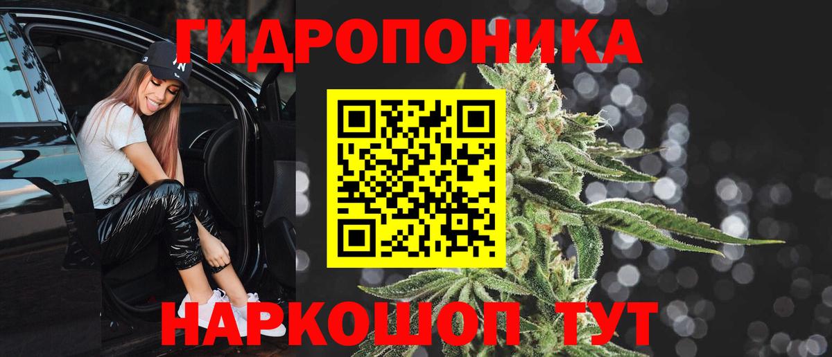 Бошки Шишки гибрид  Вход с VPN  Камышлов  Бошки марихуана MAZAR  Марихуана тримм  Бошки Шишки Ganja 